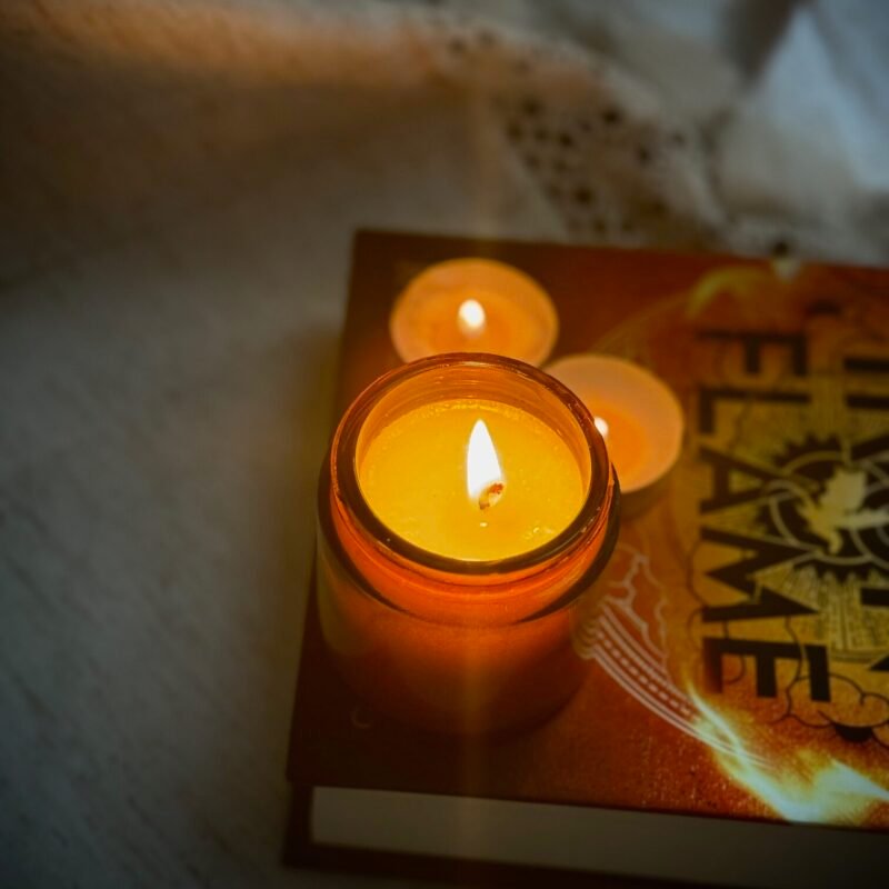 IMG_8840 Tallow & Beeswax Candle