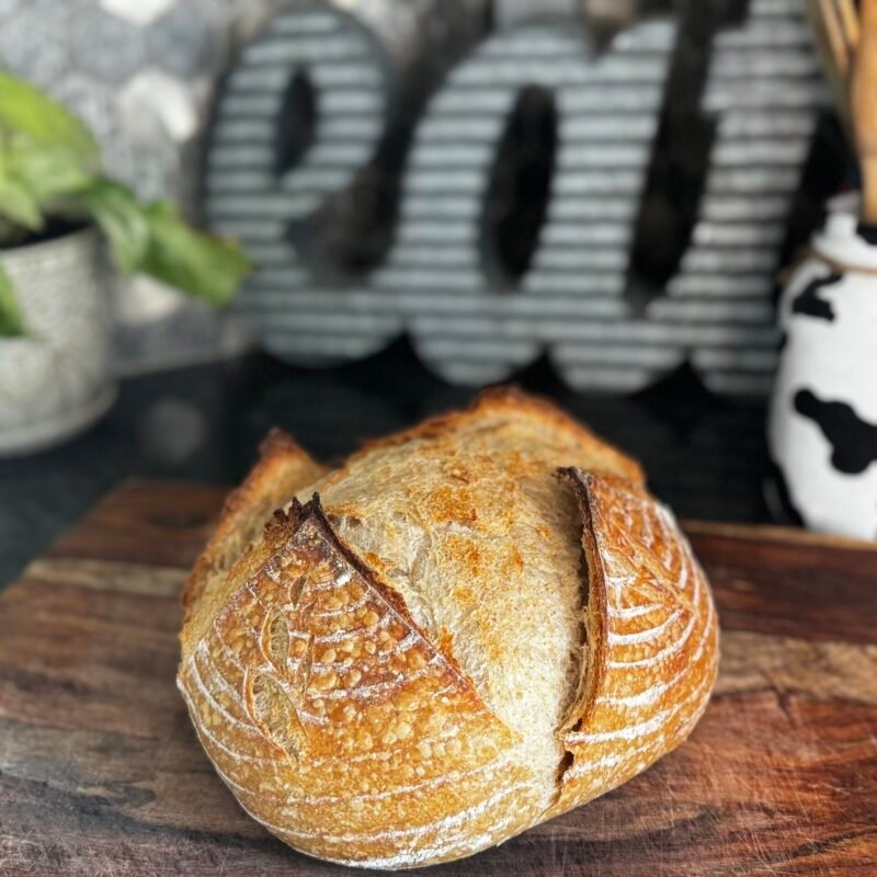 IMG_8230 Sourdough Bread