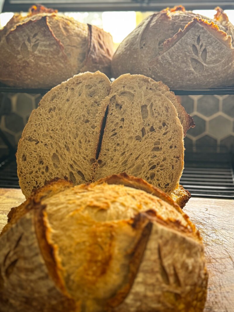 IMG_0444_jpg Sourdough Bread